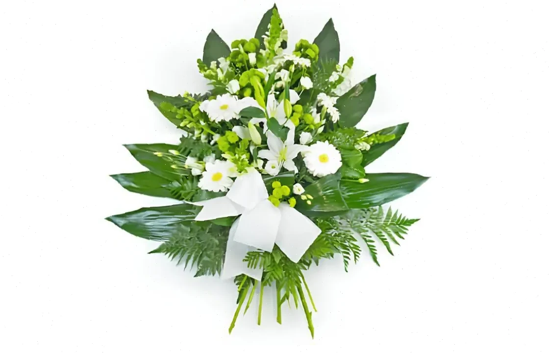 Paix Blanche