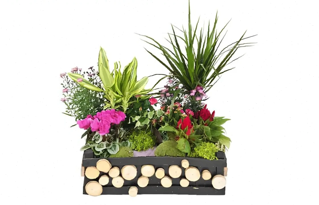 Jardin Naturel